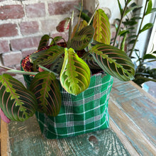 Load image into Gallery viewer, Nusu Nusu Storage Basket 25/06