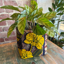 Load image into Gallery viewer, Nusu Nusu Storage Basket 25/09