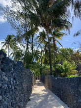 Load image into Gallery viewer, Seaweed Co Zanzibar Lime Soap