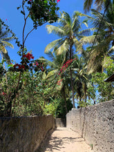 Load image into Gallery viewer, Seaweed Co Zanzibar Ylang Ylang Soap