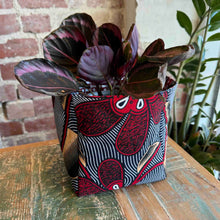 Load image into Gallery viewer, Nusu Nusu Storage Basket 25/11
